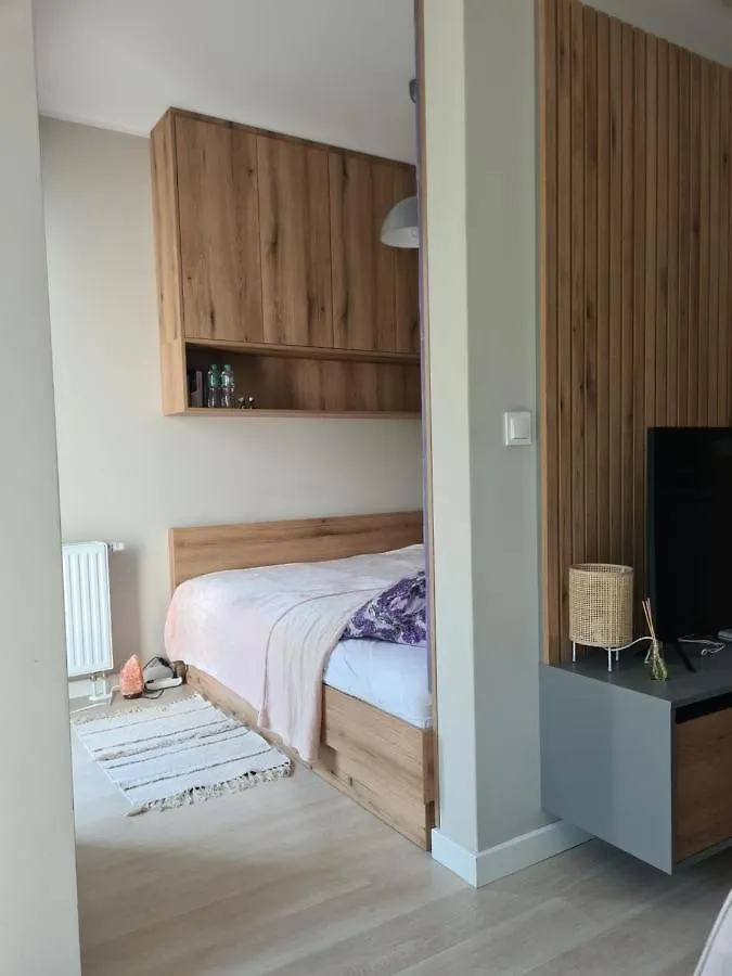 Mostowa 23 Bruno Apartment, Self Check-In 24H, Free Parking, Air-Conditioning Poznan Apartment